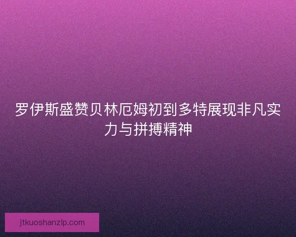 罗伊斯盛赞贝林厄姆初到多特展现非凡实力与拼搏精神